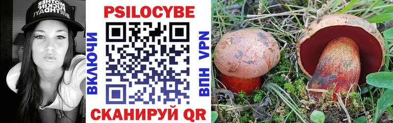 продажа наркотиков  Электросталь  Галлюциногенные грибы Psilocybe 